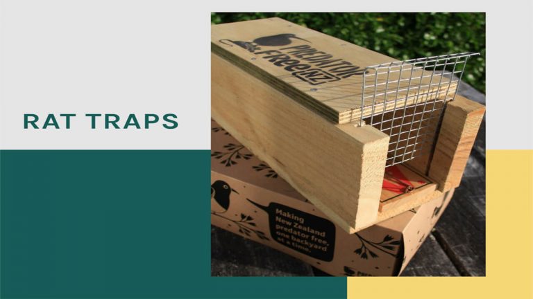 Best Rat Trap | Snap Traps, Cage Traps and Electric Traps for Rats
