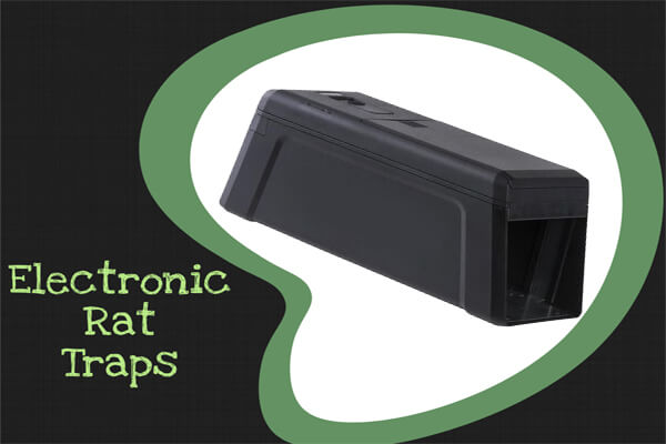 Electronic Rat Traps