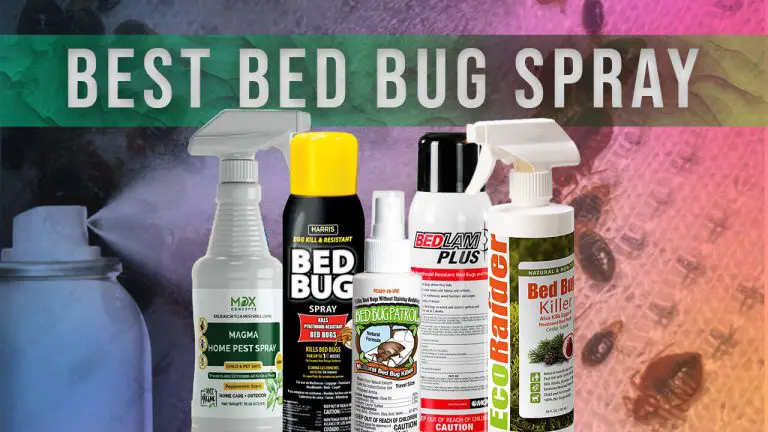 Best Bed Bug Spray | Top 5 Picks | How to Safely Use Bed Bug Spray