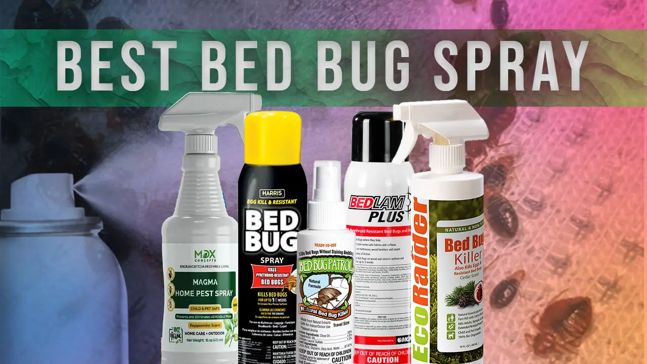 can i use bed bug spray on mattress