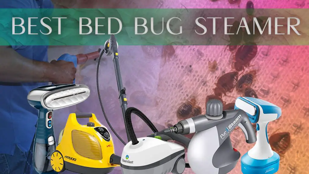 Best Bed Bug Steamer
