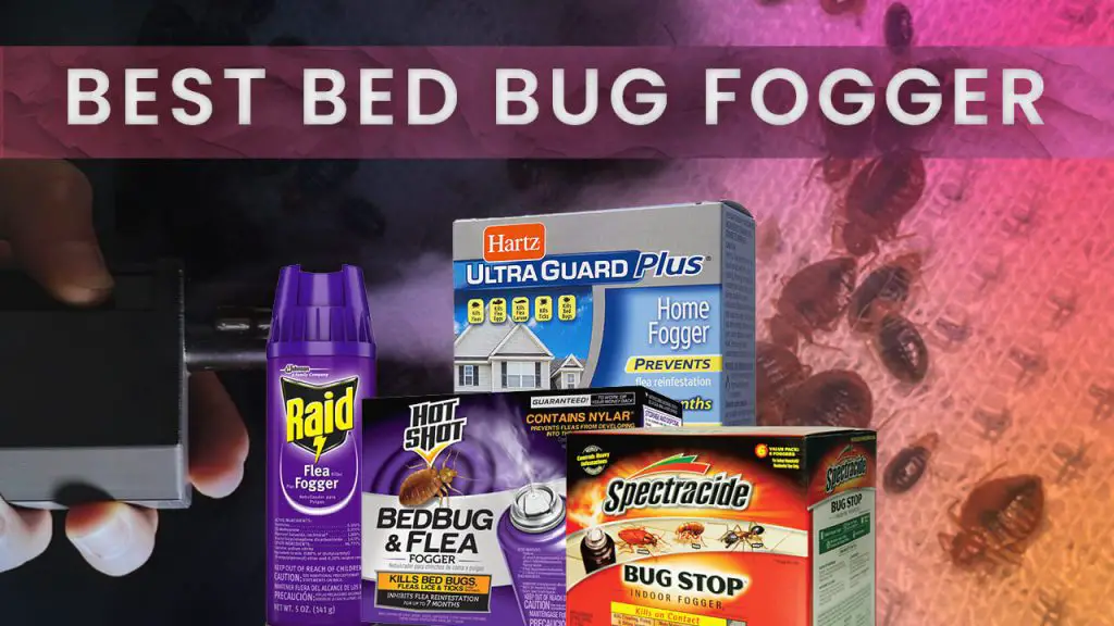 best bed bug fogger
