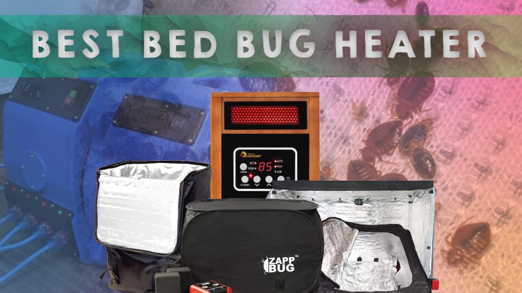 best bed bug heater
