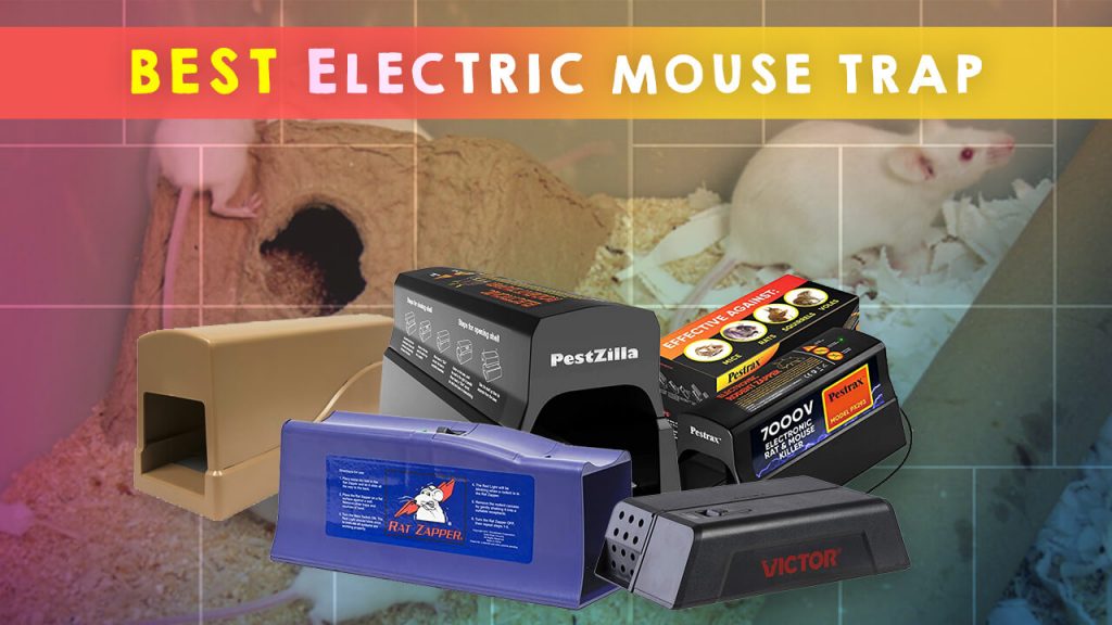 best electric mouse trap