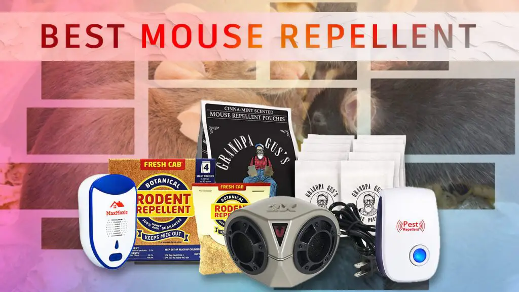 best mouse repellent