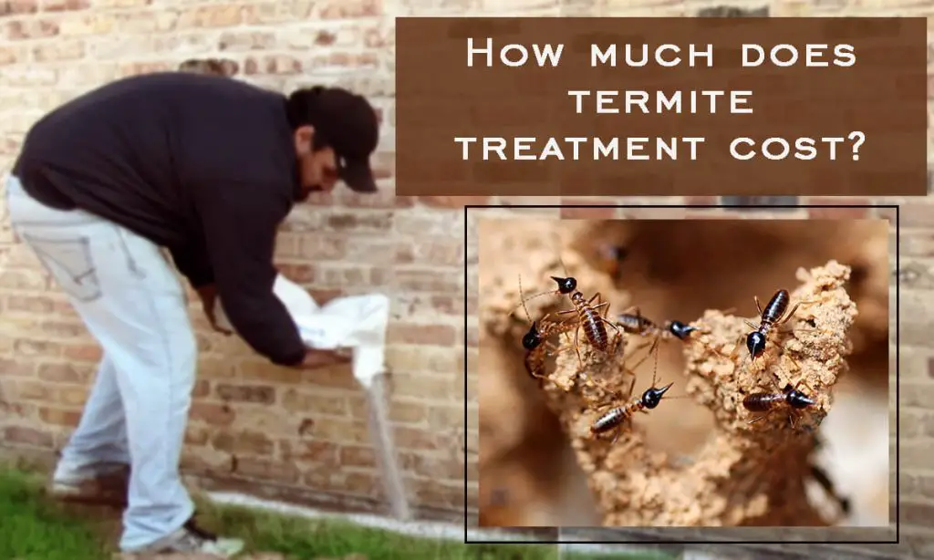 termite treatment cost