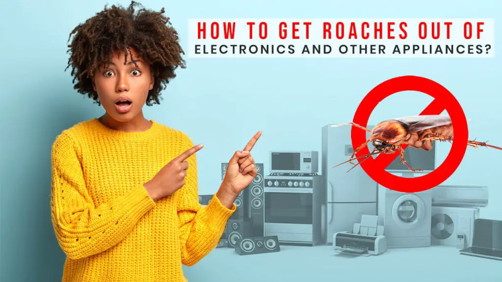 How to Get Roaches Out of Electronics and Home Appliances