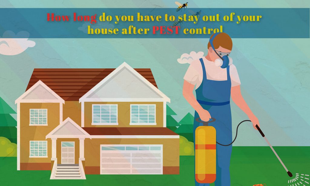 How Long do you have to Stay Out of your House after Pest Control?
