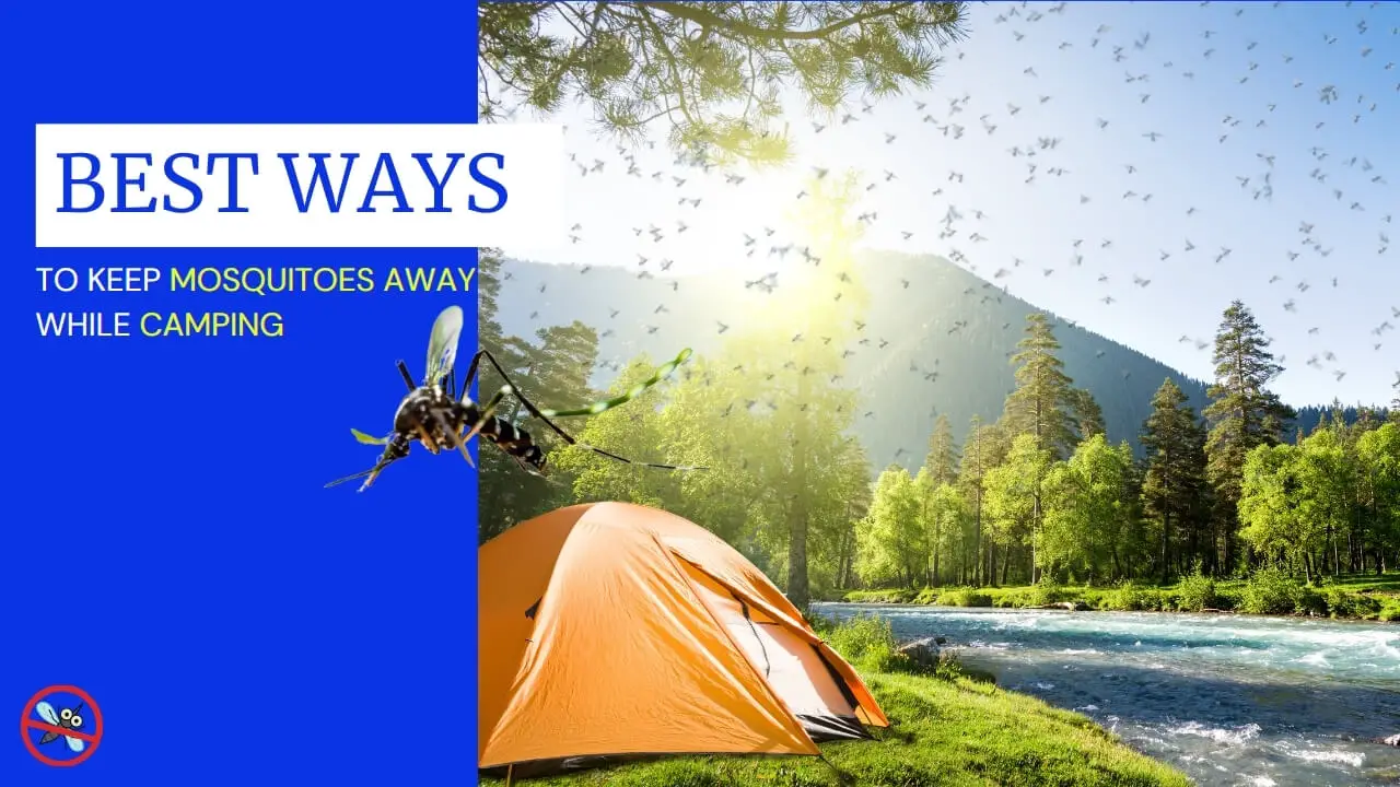 Effective ways to keep mosquitoes away while camping