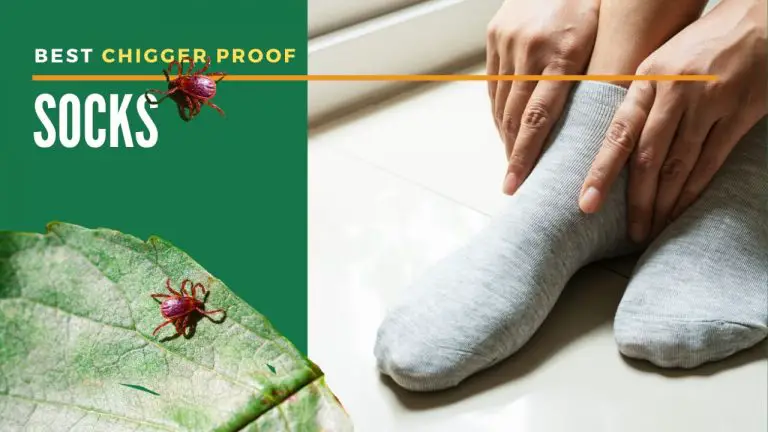 Benefits of Chigger Proof Socks | Top 5 Chigger Proof Socks