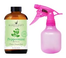 Peppermint Oil Spray