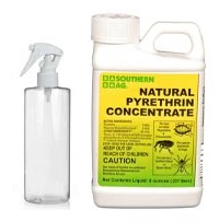 11. Homemade Pyrethrin spray to kill silverfish bugs naturally