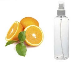 Homemade Citrus spray for Bumble bees