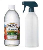 Homemade Vinegar spray to Repel Ladybugs