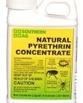 Pyrethrin to kill squash bugs naturally