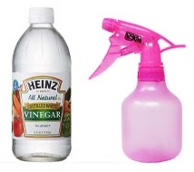 Homemade Vinegar spray to repel Flour beetles