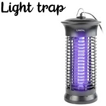 Homemade Light trap to Repel Ladybugs