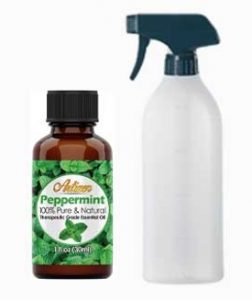 Peppermint spray to Kill Mosquitoes naturally