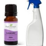 Homemade Essential oil spray for ladybugs
