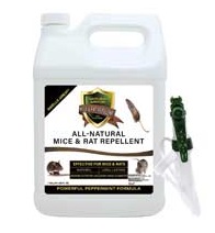 Peppermint oil spray for potato bugs