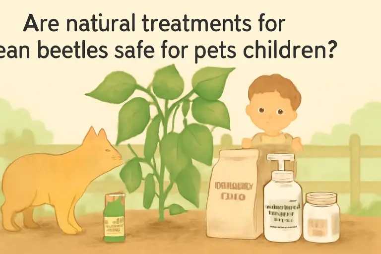 Are natural treatments for bean beetles safe for pets and children?