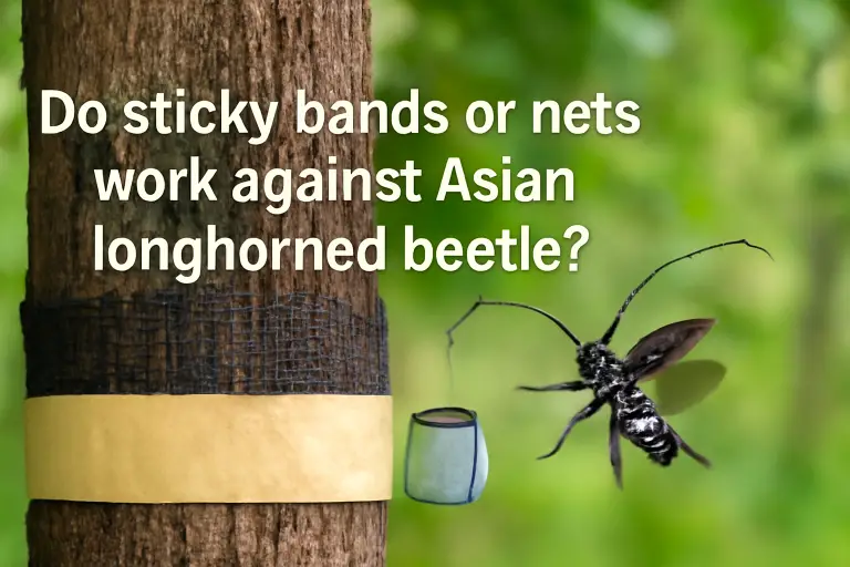 Do sticky bands or nets work against asian longhorned beetle?