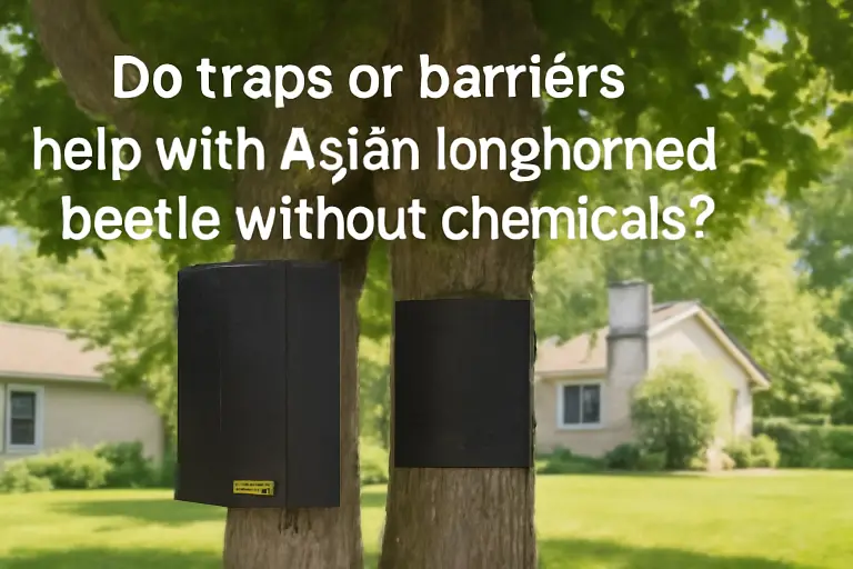 Do traps or barriers help with asian longhorned beetle without chemicals?
