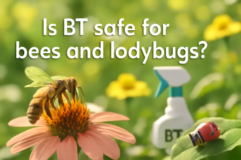 Is BT safe for bees and ladybugs?