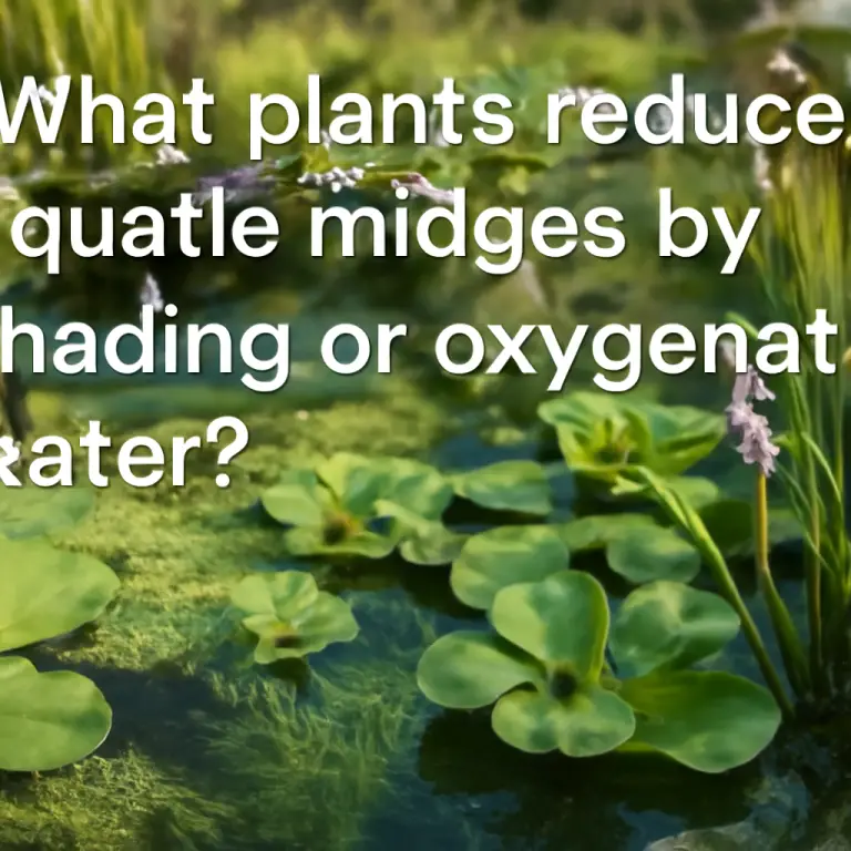 What plants reduce aquatic midges by shading or oxygenating water?
