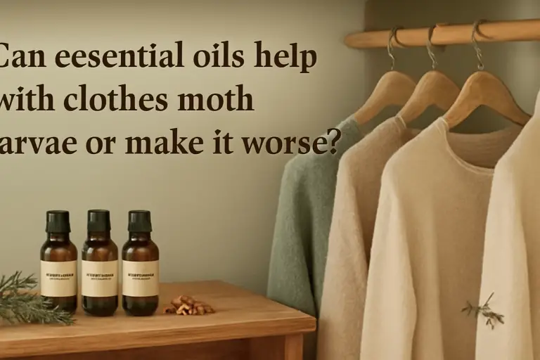 Can essential oils help with clothes moth larvae or make it worse?
