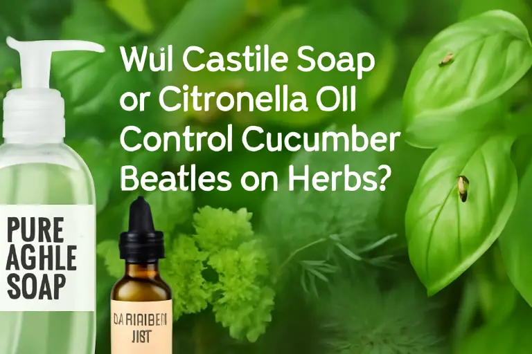 Will castile soap or citronella oil control cucumber beetles on herbs?