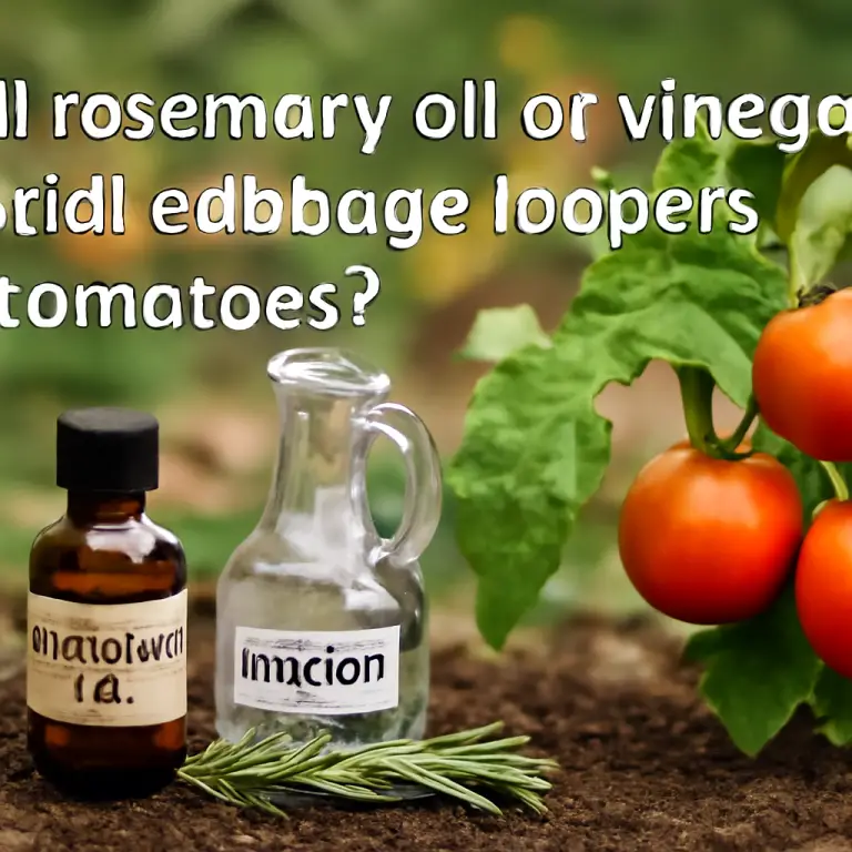Will rosemary oil or vinegar control cabbage loopers on tomatoes?