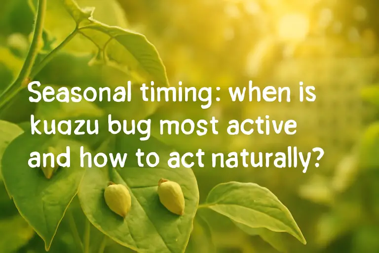 Seasonal timing: when is kudzu bug most active and how to act naturally?