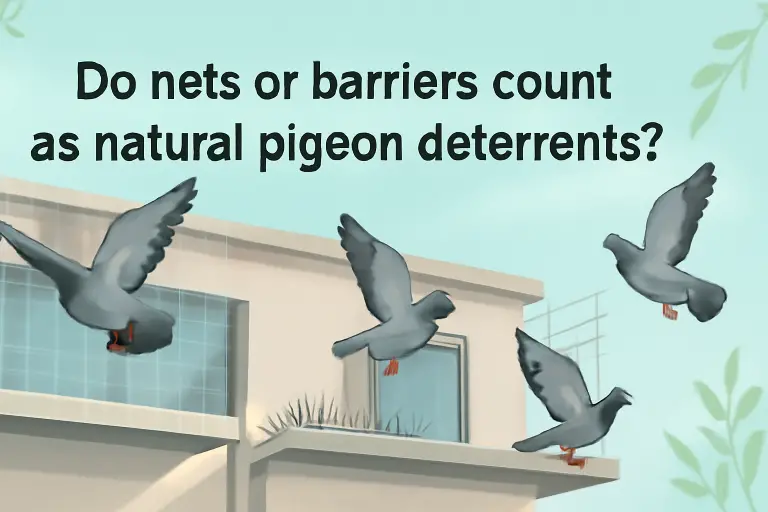 Do nets or barriers count as natural pigeons deterrents?