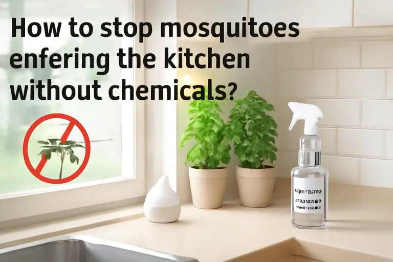 How to stop mosquitoes entering the kitchen without chemicals?