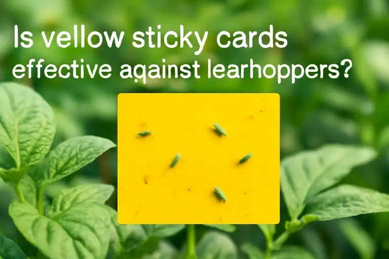 Is yellow sticky cards effective against leafhoppers?