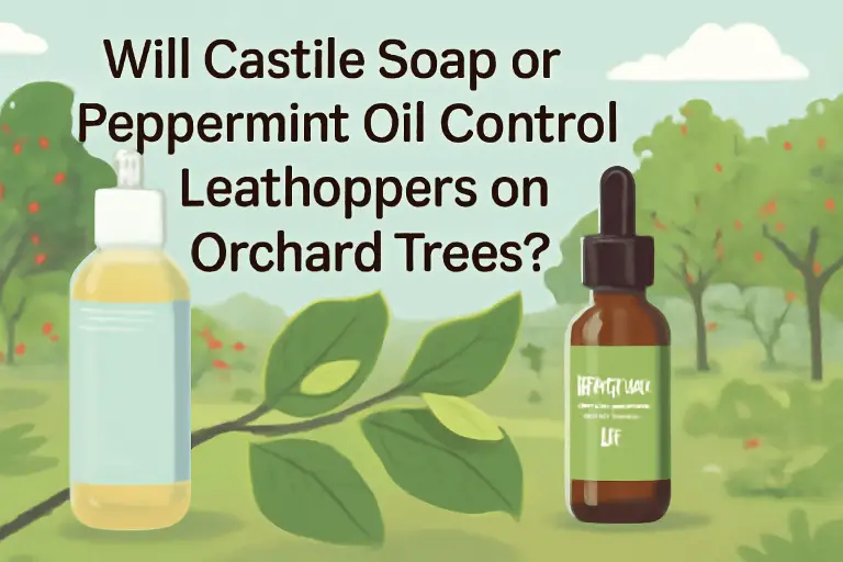 Will castile soap or peppermint oil control leafhoppers on orchard trees?