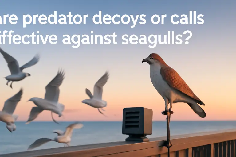 Are predator decoys or calls effective against seagulls?
