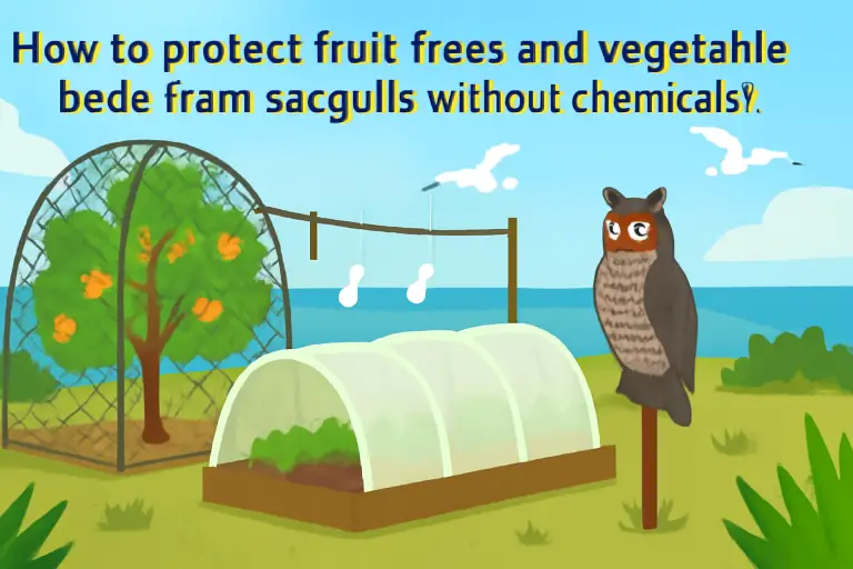 How to protect fruit trees and vegetable beds from seagulls without chemicals?