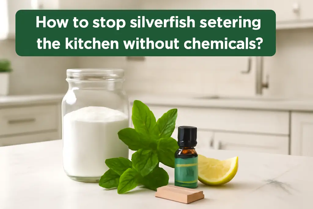 How to stop silverfish entering the kitchen without chemicals?