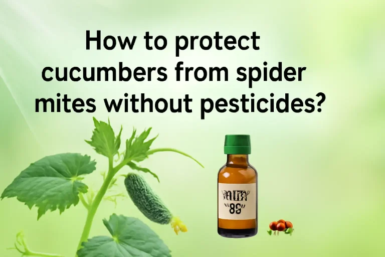 How to protect cucumbers from spider mites without pesticides?