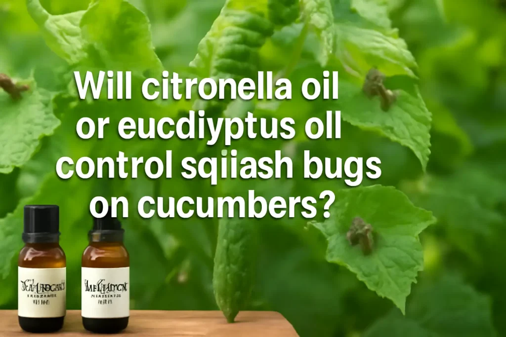 Will citronella oil or eucalyptus oil control squash bugs on cucumbers?