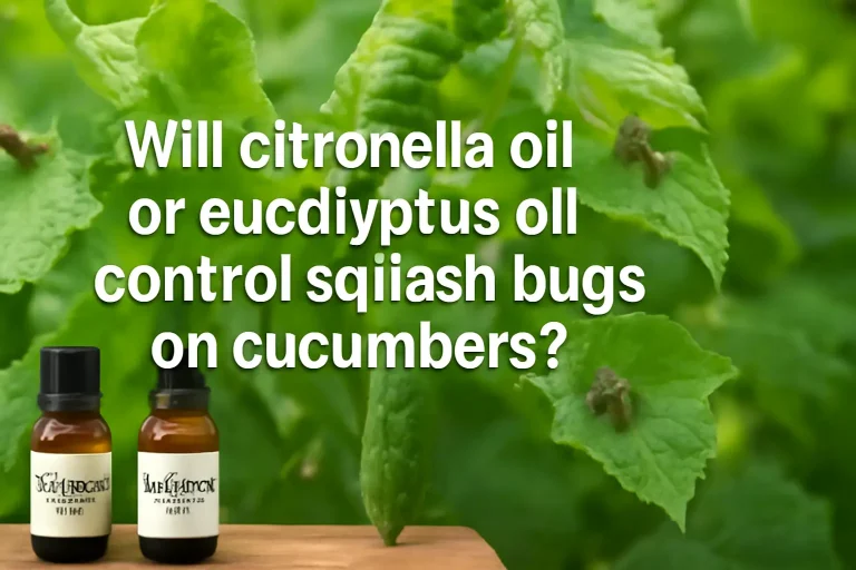 Will citronella oil or eucalyptus oil control squash bugs on cucumbers?