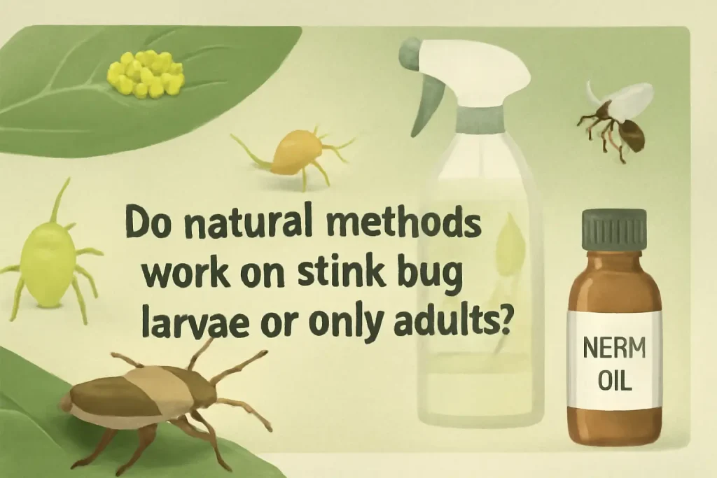 Do natural methods work on stink bugs larvae or only adults?
