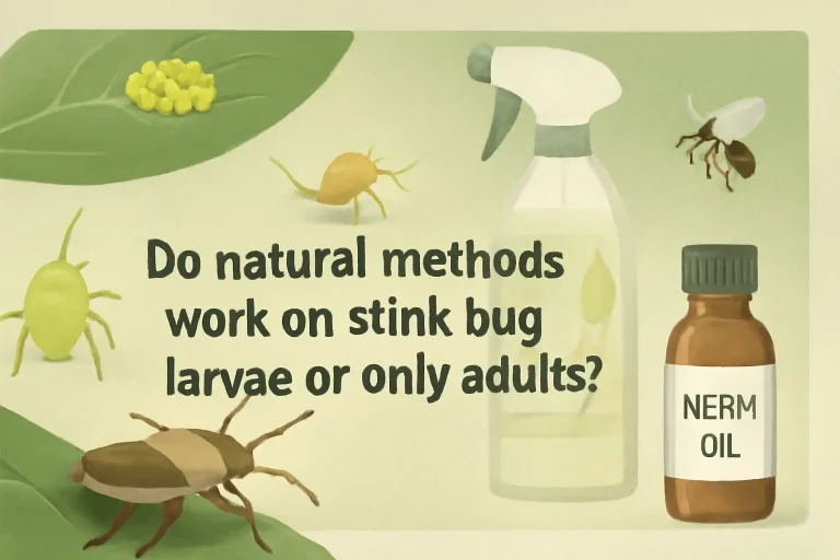 Do natural methods work on stink bugs larvae or only adults?