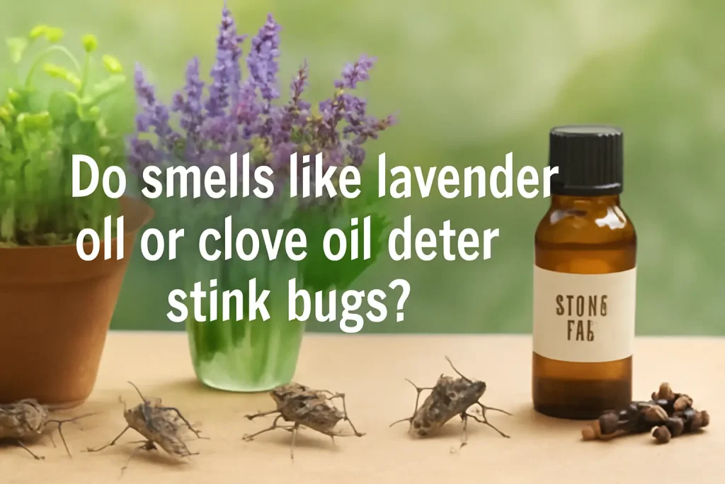 Do smells like lavender oil or clove oil deter stink bugs?