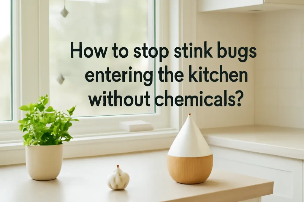 How to stop stink bugs entering the kitchen without chemicals?