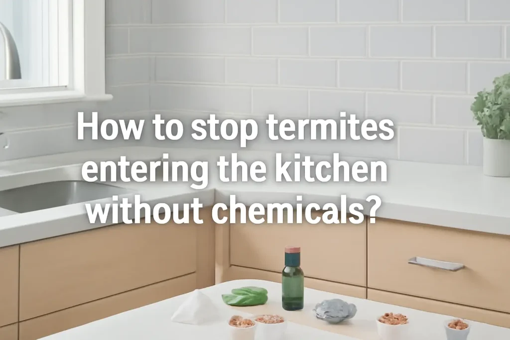 How to stop termites entering the kitchen without chemicals?