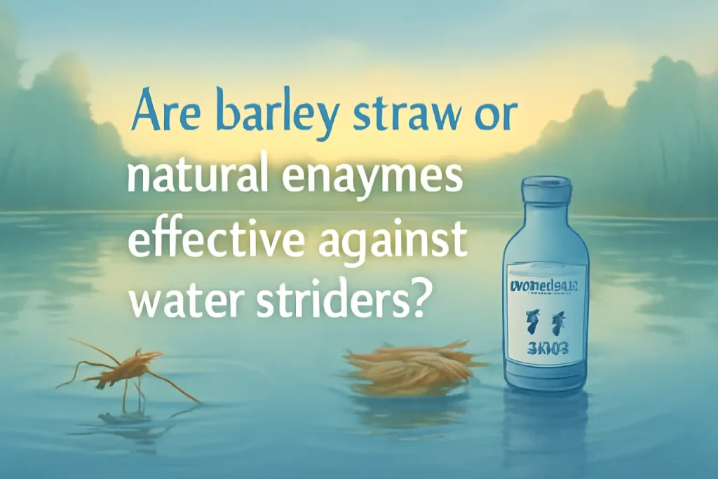 Are barley straw or natural enzymes effective against water striders?