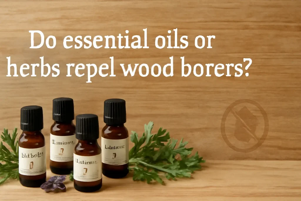 Do essential oils or herbs repel wood borers?